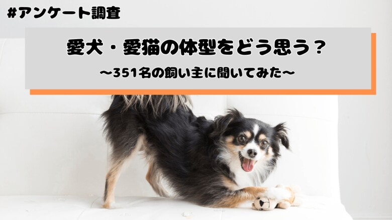 愛犬・愛猫の体型をどう思う？飼い主の約5割が「理想的」と回答、一方で24.8%が“肥満傾向”と診断経験あり