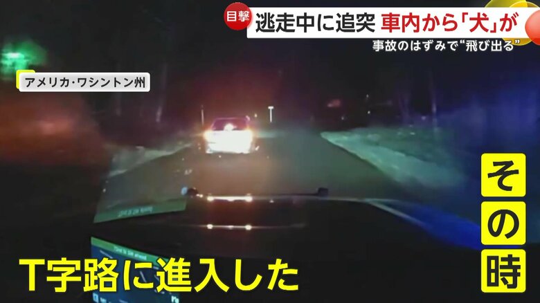 逃走車が衝突し車から犬が投げ出される瞬間（アメリカ・ワシントン州）①