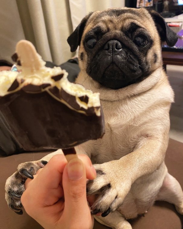 提供：よこむすびさん