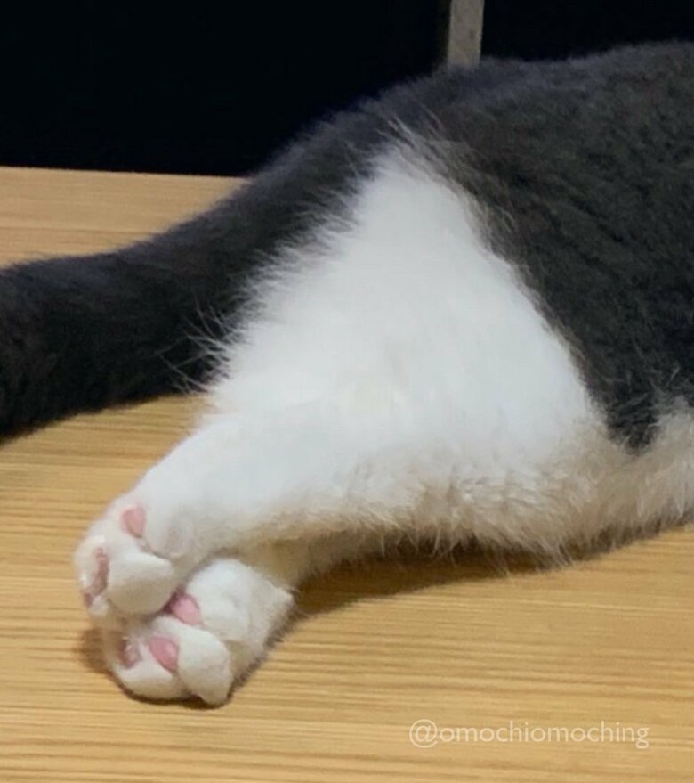 ちょこんと組んでセクシー