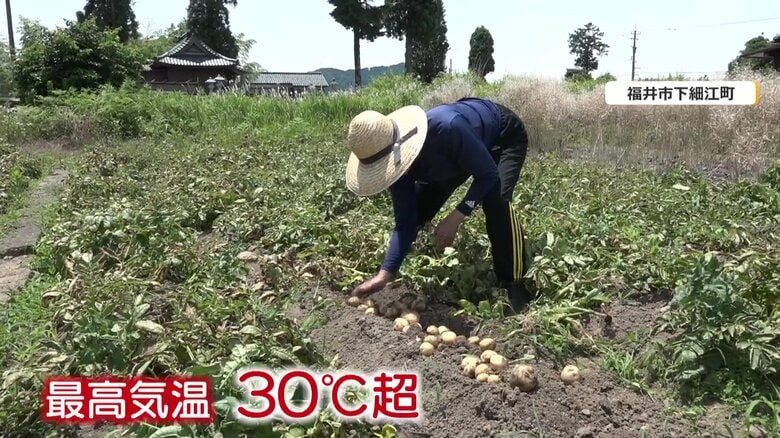 炎天下で農作業をする野路直美さん