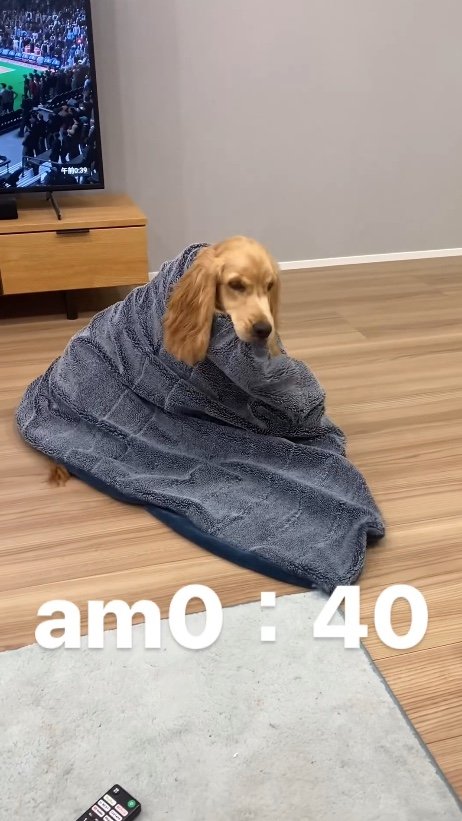 提供：関口和也さん