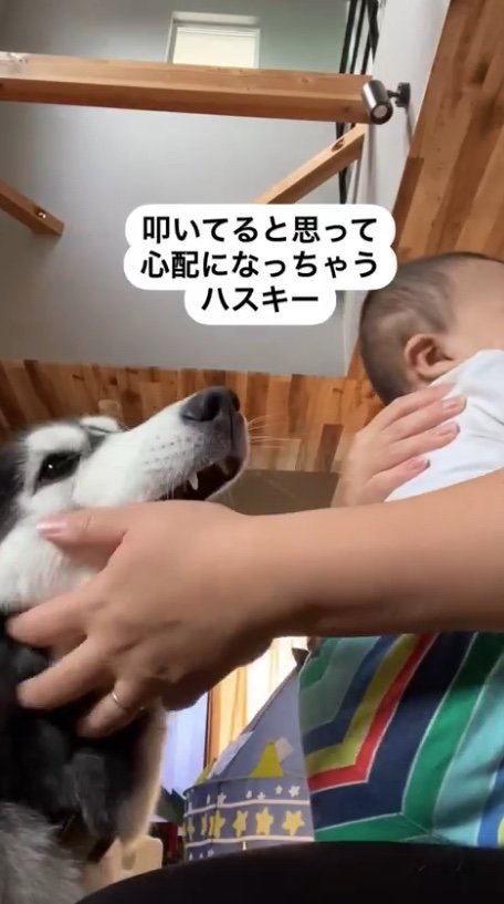 提供：akariさん