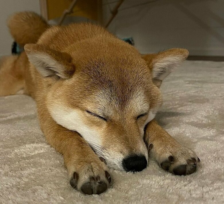 ぐっすり