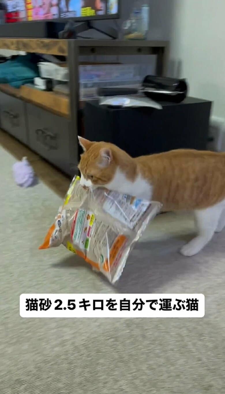 ヨタヨタしながらも