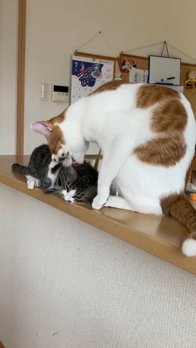 大三くんは「やめて！」と抵抗