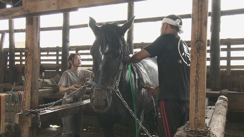 馬の世話をする珠久さんと父・力さん