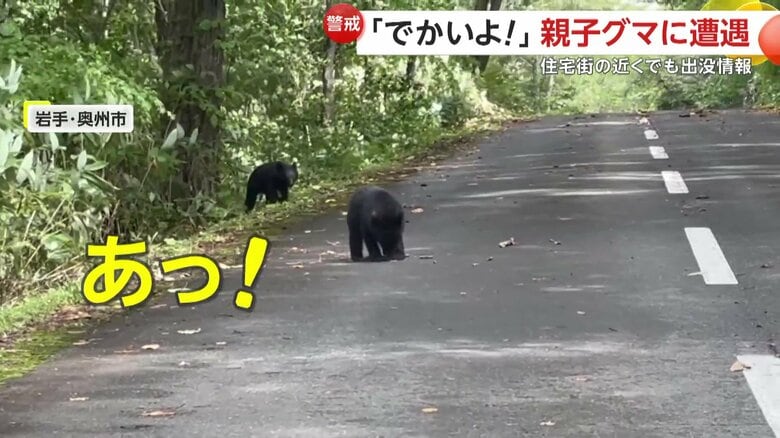 突然、現れたクマに「これ子ども？」と呟いていた撮影者
