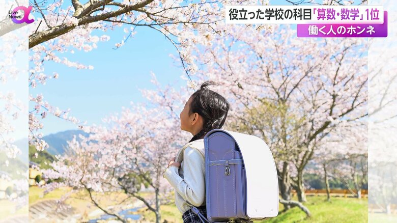 ランドセルを背負った子供が桜を見上げる入学シーズンのイメージ