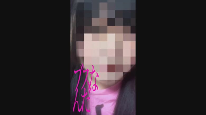 ヒナちゃんが制作した動画