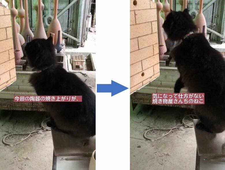 焼き上がりが気になる様子