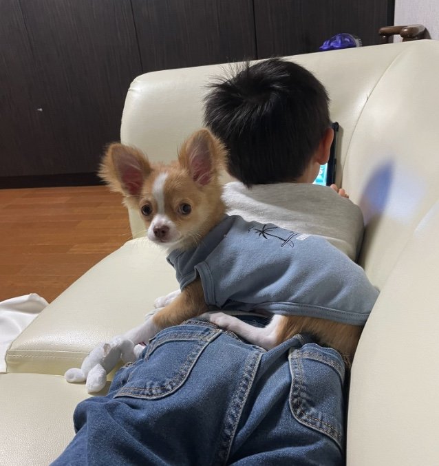 提供：ふくのすけさん