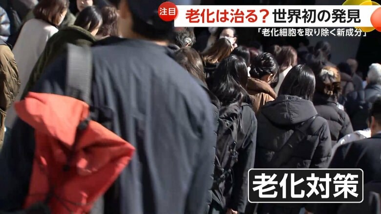 街で多く聞かれた日頃から老化対策に気を使っているという声