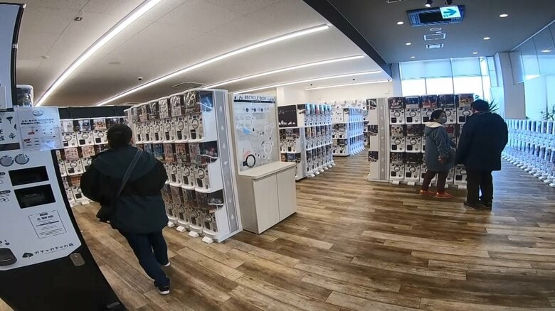 多くの販売機が並ぶ「ガチャガチャの森」