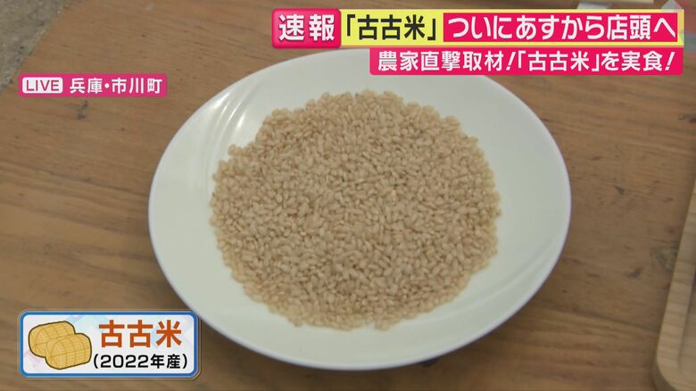 古古米 関西テレビ「旬感LIVEとれたてっ！」