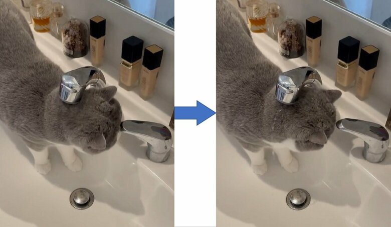 レバーを頭突き。チョロリと水が出た（提供：八海山くんの飼い主さんTwitterアカウント）