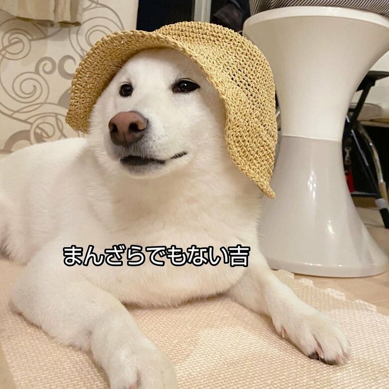 帽子も似合う