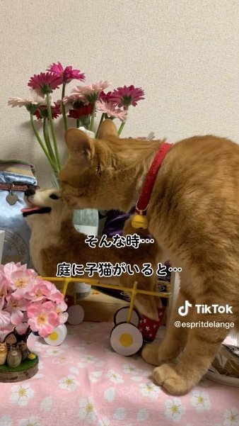 提供：エンとちぃさん