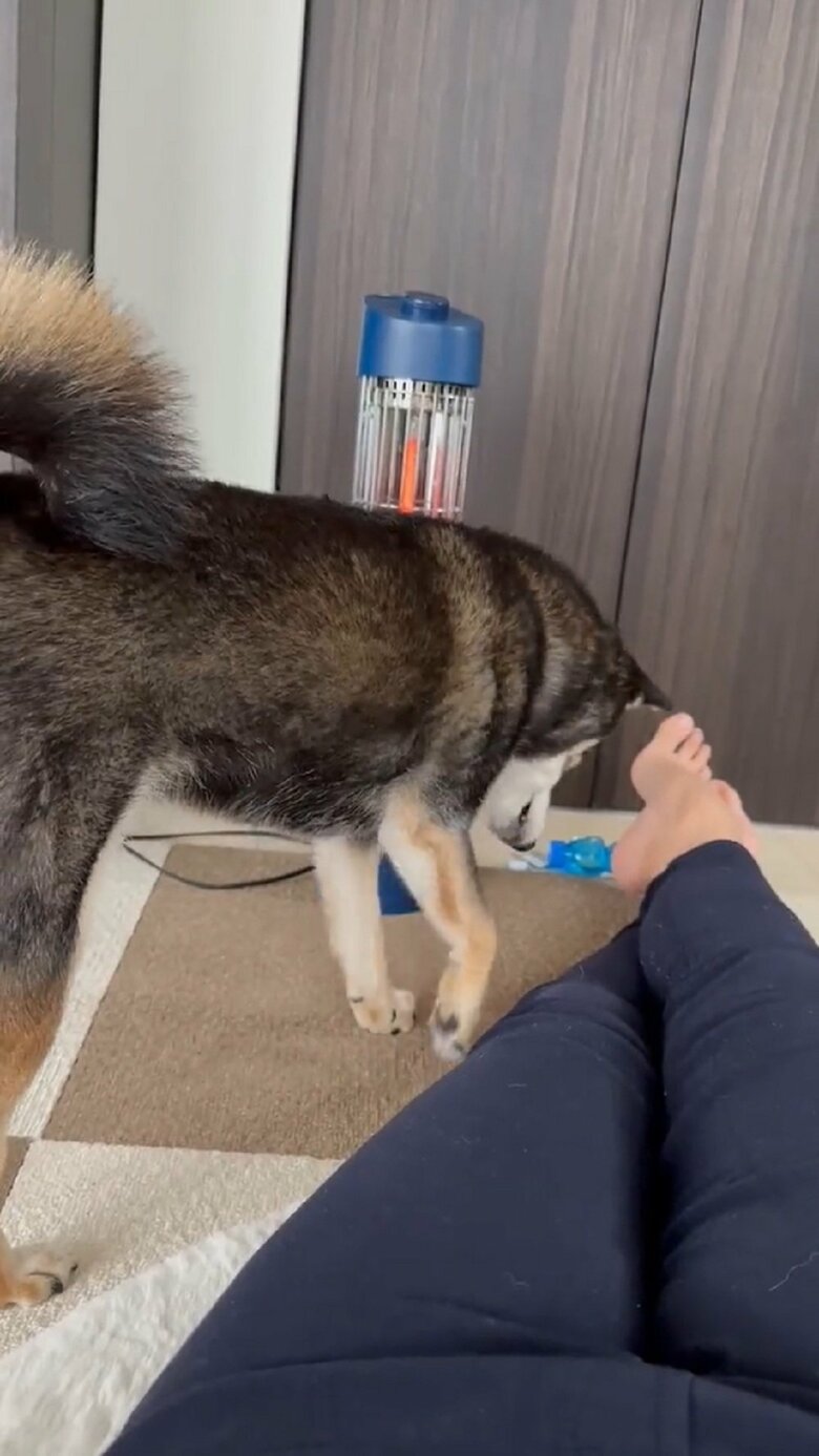 右前足を上げて…