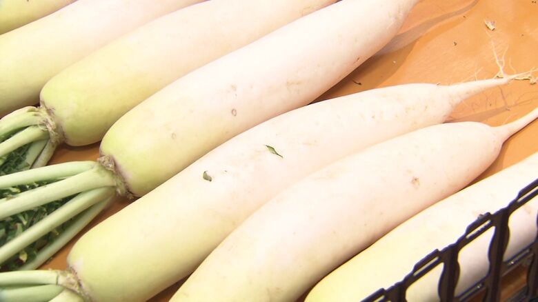 ダイコンも今が買い時