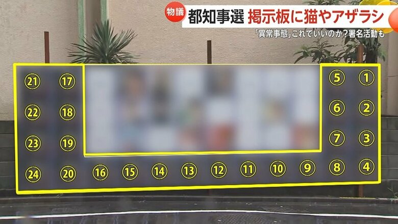 数字が振られている場所すべてに猫のポスターが貼られている