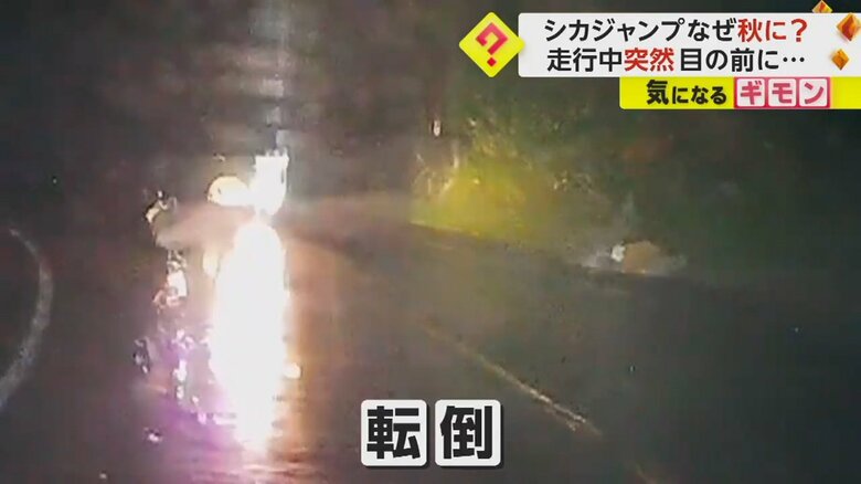 （FNN投稿サイト「ビデオPost」）