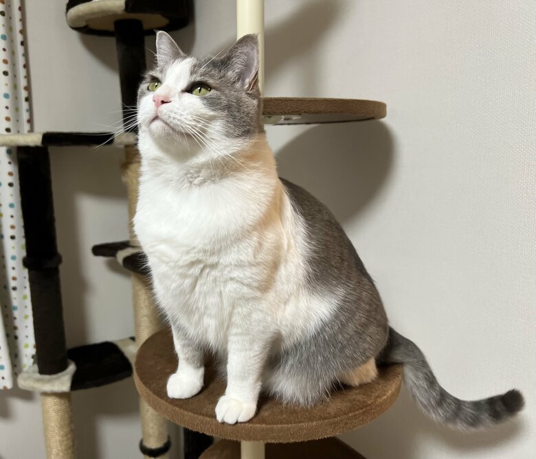 提供：いずもん/まろ様さん