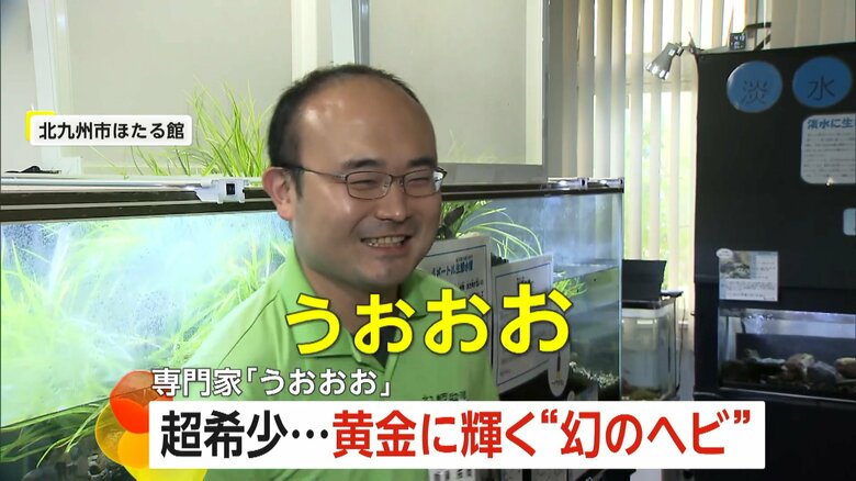 幻のヘビを見た時の驚きについて話す北九州市ほたる館・鵜澤拓哉館長