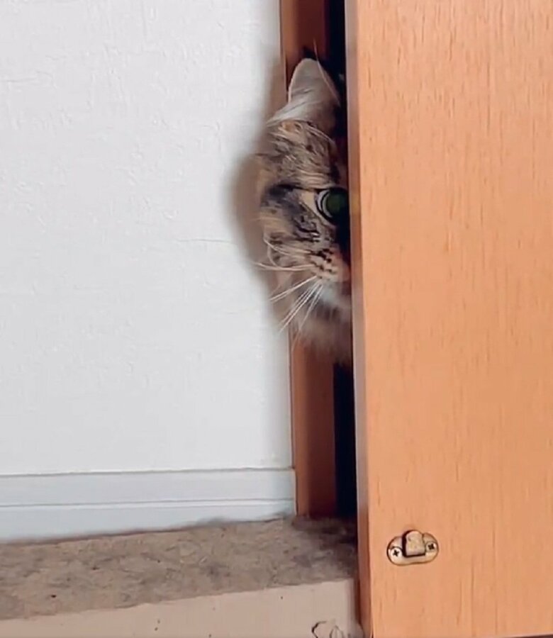 すーっと