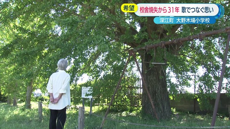 小学校の校庭に芽吹いたイチョウの木