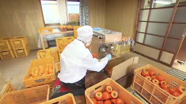 孝行息子の思いから生まれた皮むき機