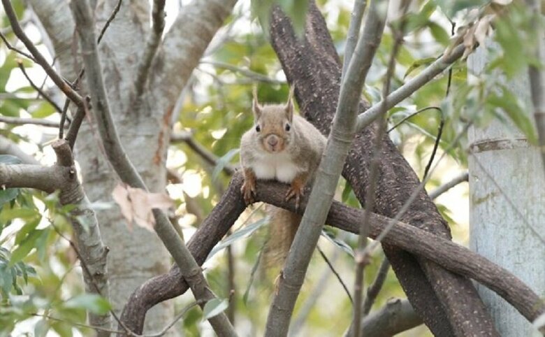 （提供：神戸どうぶつ王国）