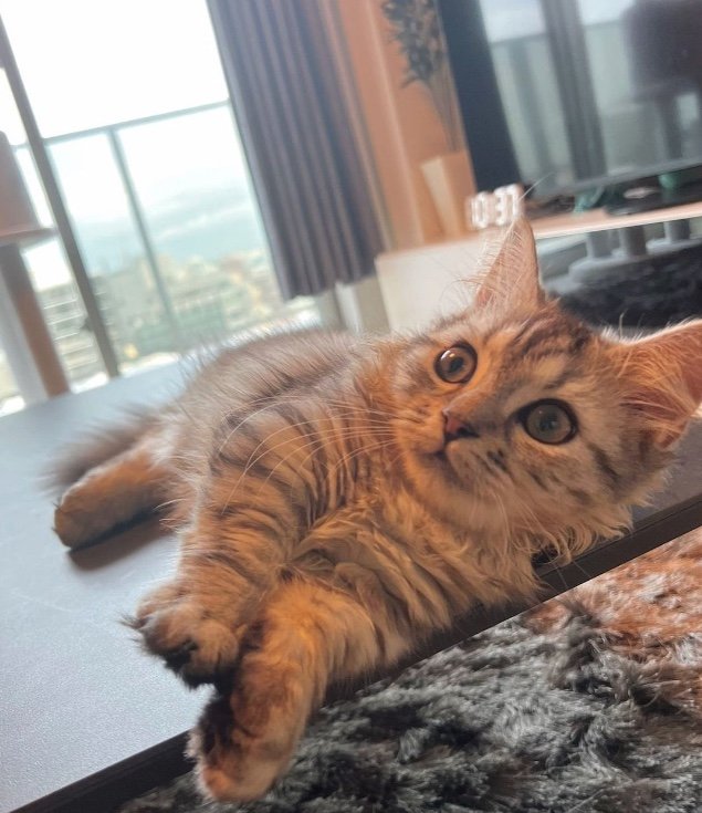 提供：チワックスの諭吉くん。さん