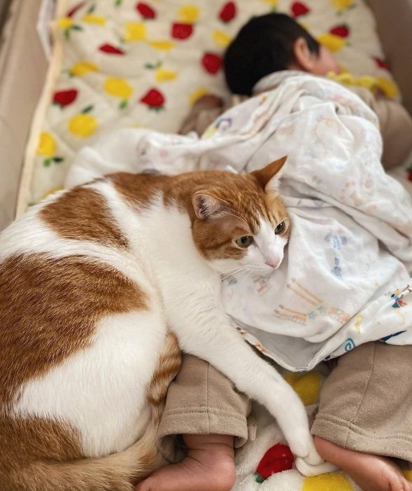 提供：Hassakuさん