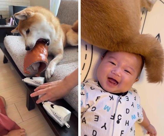 （左）おもちゃを取っちゃうこたろうくん（右）しゅんくんの“髪の毛”になっちゃったこたろうくん