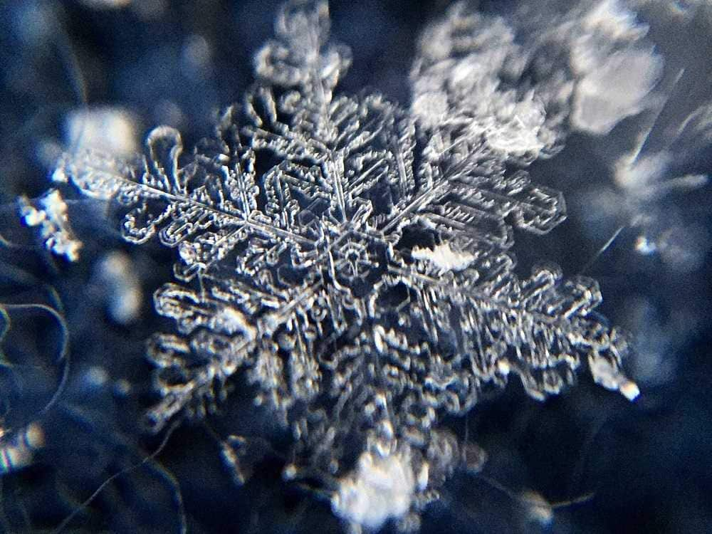 美しい 雪結晶 がスマホで簡単に撮れる 雪が降る前に撮り方を覚えておこう