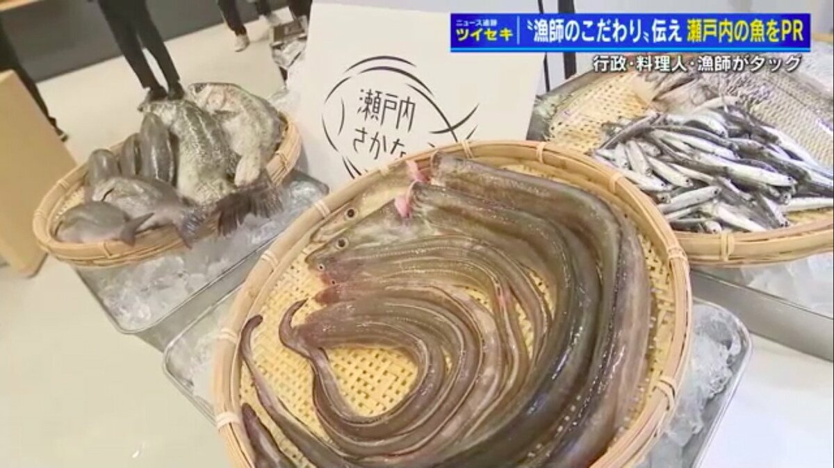 おいしいマイナー魚を“推し活”「瀬戸内さかな」ブランド強化へ