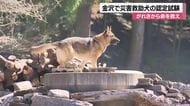 「鼻」を頼りに行方不明者捜索　災害救助犬の能力審査　金沢で実施