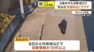 気仙沼市の市街地でクマの目撃１０件以上　市役所近くにも出没　３連休の観光客も警戒〈宮城〉