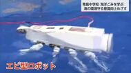 海の環境守る意識高める　宮崎市青島で水難救護・海洋保全アカデミー