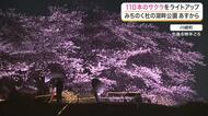 幻想的な夜桜！川崎町「国営みちのく杜の湖畔公園」で満開の桜のライトアップが１１日からスタート〈宮城〉