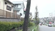 名物「イチョウ」54本が一斉に枯れる　伐採した木に使った除草剤が根をつたったか　市は植え直しへ　東京・町田