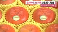 会津の特産品「みしらず柿」　ゆうパック「ふるさと小包」で全国へ発送　12月中旬まで　福島・会津若松市