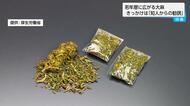 若者の間で大麻が蔓延 きっかけは「知人からの勧誘」「好奇心や興味本位」 SNSには大麻の危険性を軽視する情報も【宮崎県】