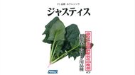 「ジャスティス」「ゴードン」…ホウレンソウの品種名が強そうと話題! 名付け方を聞いてみた