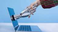 茨城県が業務を“ロボット代行”実験で労働時間86%減!導入したら職員の仕事はどうなる?