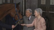 両陛下 皇居内の厩舎で“神馬となる馬”ご覧に