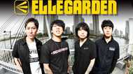 ELLEGARDEN10年ぶり復活! ZOZOマリンスタジアム含むツアー発表