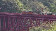 新緑の黒部峡谷…トロッコ電車の部分運行始まる