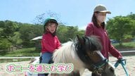 ポニーとの触れあいを通し子どもたちに学びを　亡き夫の思いを受け継ぎ開設した“森のようちえん”【鳥取発】